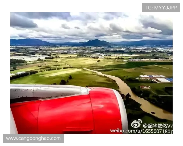 埃及与哥伦比亚激战正酣比分揭晓引发热议