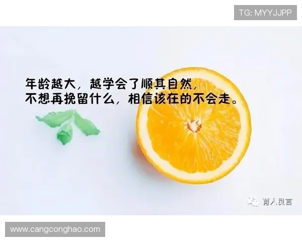 景菡一的成长之路:从平凡到卓越的心灵探索与人生启示 景菡一的成长之路:从平凡到卓越的心灵探索与人生启示