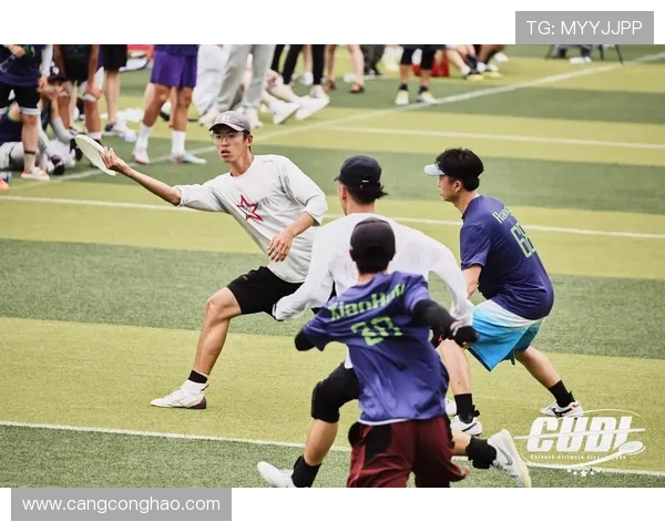 飞盘实力榜单更新广州飞盘队稳居第一名展现强大实力