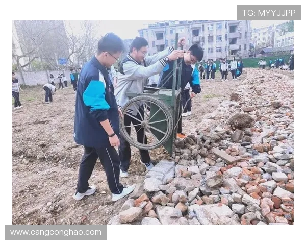 南京篮球队的蜕变之旅：从传统强队到现代竞技新标杆的探索与实践
