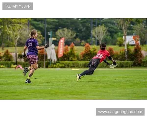 南京飞盘队在世界滑板锦标赛中的默契配合与精彩表现分析