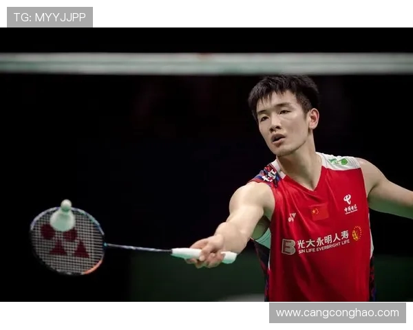 杭州羽毛球队在精英赛中的表现分析与状态评估 杭州羽毛球队在精英赛中的表现分析与状态评估