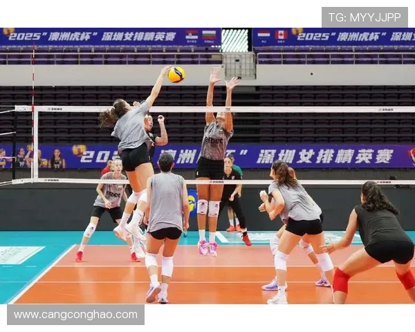 深圳排球队的团队协作之道：如何在排球赛场上实现默契与胜利