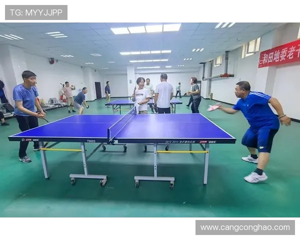 乒乓球的魅力与技艺探秘：杭州乒乓球队的精细控制与训练揭秘