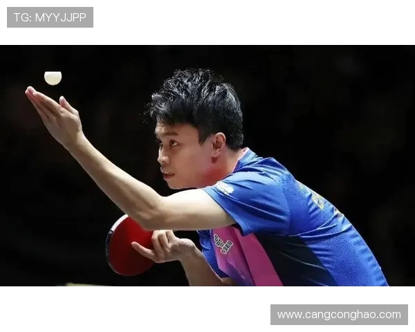 北京乒乓球队战术变革引发热议新策略助力竞技水平提升 北京乒乓球队战术变革引发热议新策略助力竞技水平提升