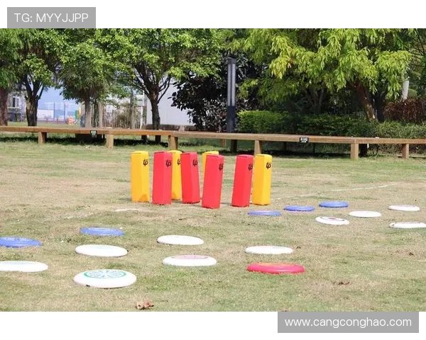 南京飞盘队荣登全国飞盘比赛经验排行榜第四名展现实力与团队精神