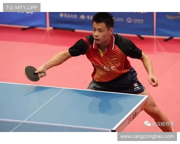 武汉乒乓球队在奥运会上的个人能力表现分析与点评