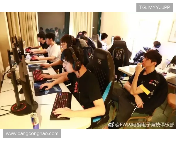 热议英雄联盟:LNG战队个人能力提升与团队协作的新篇章 热议英雄联盟:LNG战队个人能力提升与团队协作的新篇章