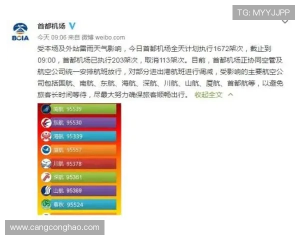 独家解读：北京乒乓球队意识形态的差异与影响分析